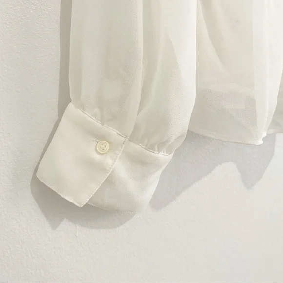 NWT DKNY Semi-Sheer Pleated Ruffle Hem Button Down Blouse Shirt L - Picture 5 of 8